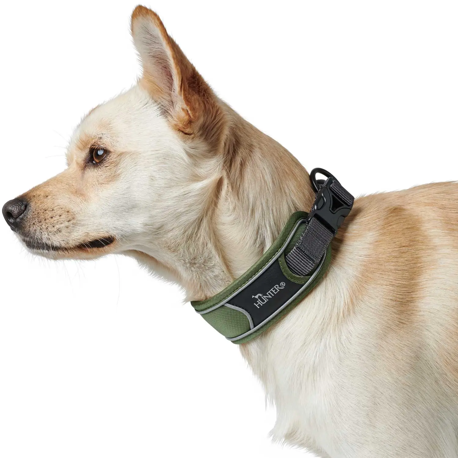 Hunter Halsbånd Divo XL Grøn/Grå - justerbart hundehalsbånd (55-65 cm, B 5,5 cm)